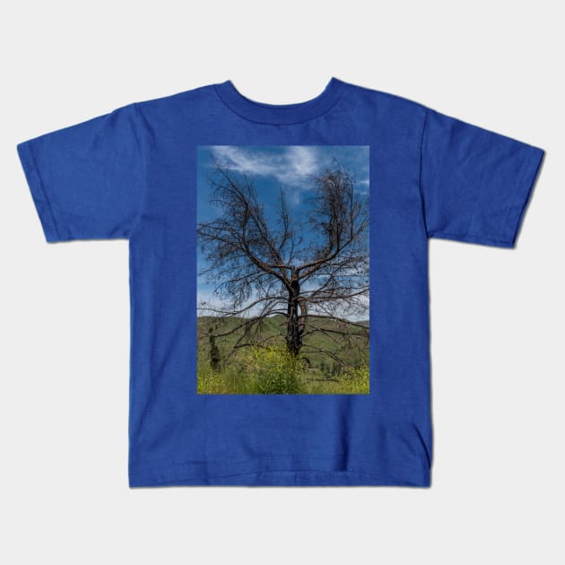 Tree burned by Malibu wildfires Kids T-Shirt by AlexK